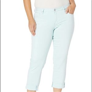 FINAL MARKDOWN NWT Jag Carter Girlfriend Jeans Atmosphere, size 10/30
